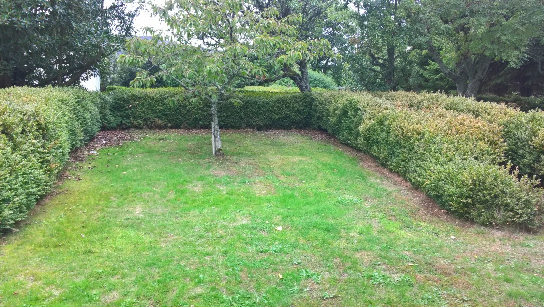 DB725623-CF6A-4697-9EDA-0B4CFD7BD388